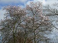 10-04-2007_16-04-41_01