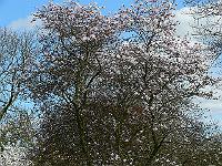 11-04-2007_15-39-59_01