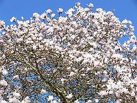 12-04-2007_11-05-18_16
