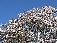12-04-2007_11-05-53_25