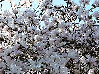 12-04-2007_20-24-09_21