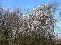 13-04-2007_09-00-38_117