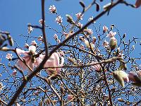 22-04-05kodak_058