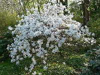 08-05-2006_17-59-24_221