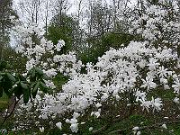 2010-05-03_12-18-58_0054