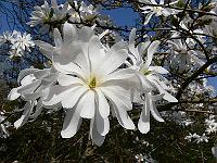 2011-04-20_14-49-25_0076