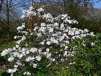 2011-04-20_14-50-51_0097