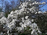 2011-04-20_15-00-47_0133