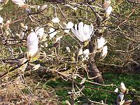 24-04-05kodak_040