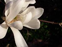 24-04-05kodak_041