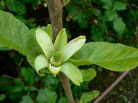 2008-05-08_12-01-18_0004
