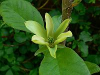 2008-05-09_14-55-01_0139