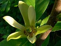 2008-05-10_09-06-02_0097