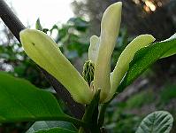 2008-05-11_16-16-51_0054