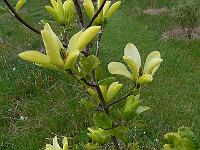 2011-05-16_08-28-21_0046