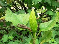 18-05-2006_17-37-30_187