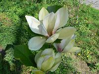 2009-05-13_08-17-04_0016