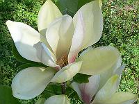 2009-05-13_08-17-11_0019