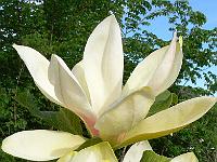 2009-05-14_07-31-16_0049