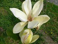 2009-05-14_07-31-55_0055