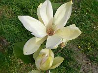 2009-05-14_07-32-01_0058
