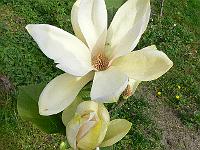 2009-05-14_07-32-02_0060