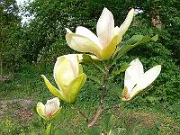 2009-05-14_07-32-25_0063