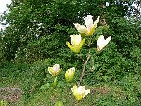 2009-05-14_07-32-49_0067