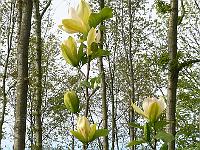 2009-05-14_07-33-32_0070