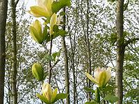 2009-05-14_07-33-42_0073