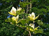 2010-06-04_07-13-46_0026
