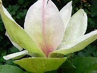 30-05-2006_20-02-45_45