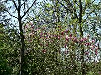 06-05-2008_22-13-11_106