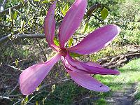 13-05-05kodak_121