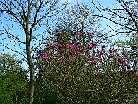 2010-05-20_15-49-47_0279