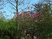 2010-05-21_16-00-24_0019
