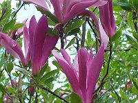23-05-05kodak_146