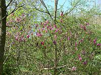 28-04-2007_10-36-39_41