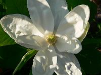 25-05-2007_18-26-32_102