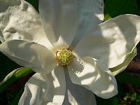25-05-2007_18-26-45_105