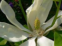 25-05-2007_18-27-14_112