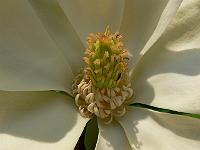 31-05-2007_18-42-16_124