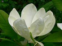 31-05-2007_18-45-40_171