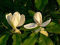 31-05-2007_21-00-55_127