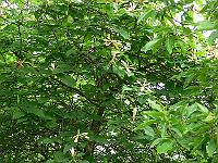 10-06-2006_09-40-06_06