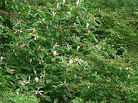 10-06-2006_09-40-12_07