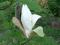 11-05-2007_20-33-56_26