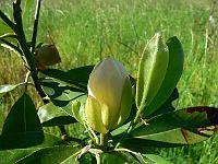 2010-06-16_08-22-47_0051