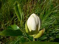2010-06-16_17-05-15_0013