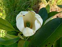 2010-06-21_16-00-19_0099